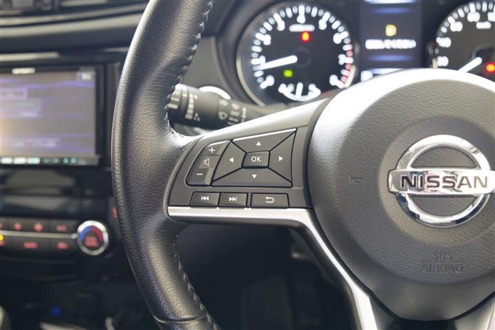 NISSAN X-TRAIL Xi V Selection Extreme X CH0000061357