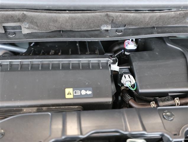 NISSAN ROOX S CH0000060120