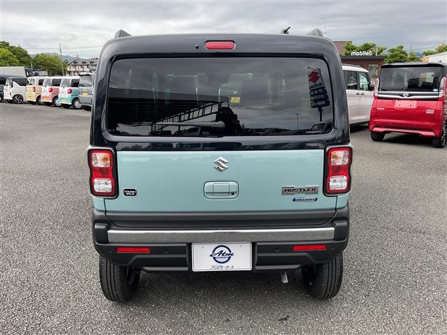 SUZUKI HUSTLER Taff Wild CH0000052771