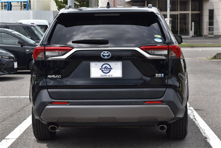TOYOTA RAV4 Hybrid G CH0000062299