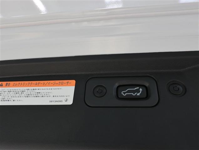 MITSUBISHI DELICA D:5 P CH0000061333
