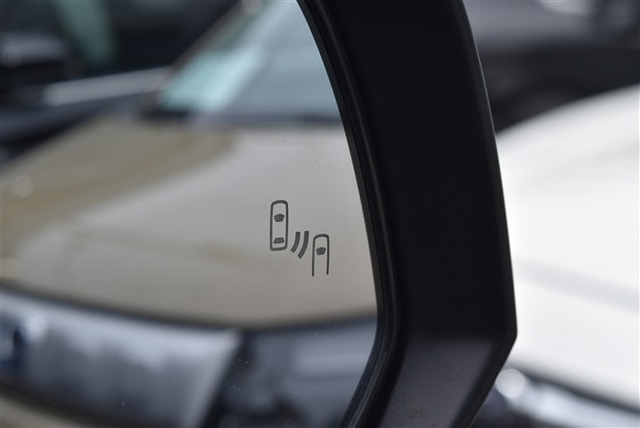 TOYOTA RAV4 Hybrid G CH0000062299