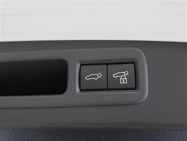 LEXUS RX F Sport CH0000061813
