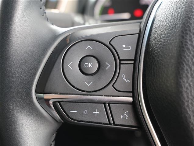 TOYOTA CAMRY Leather Package CH0000062181