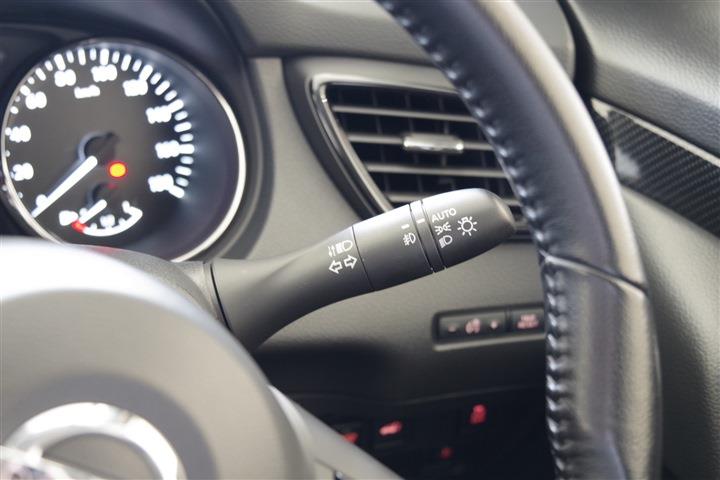 NISSAN X-TRAIL Xi V Selection Extreme X CH0000061357