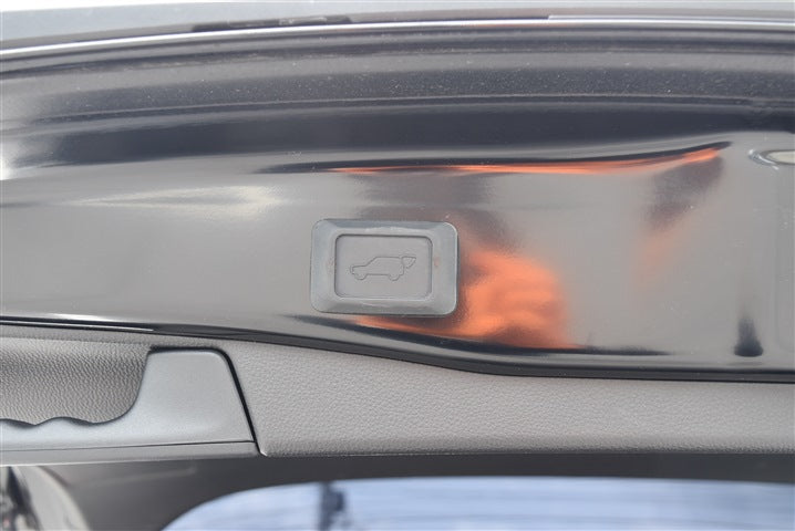 TOYOTA RAV4 Hybrid G CH0000062299