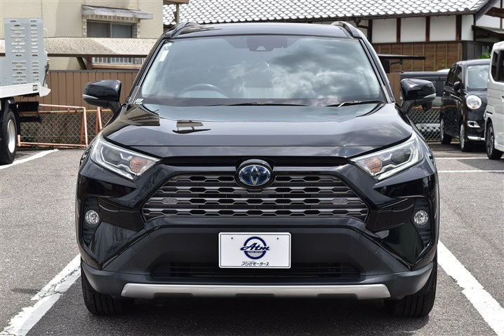 TOYOTA RAV4 Hybrid G CH0000062299
