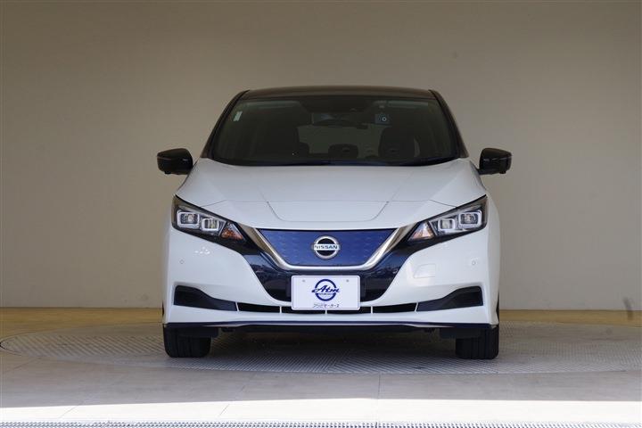 NISSAN LEAF e+ X CH0000060420