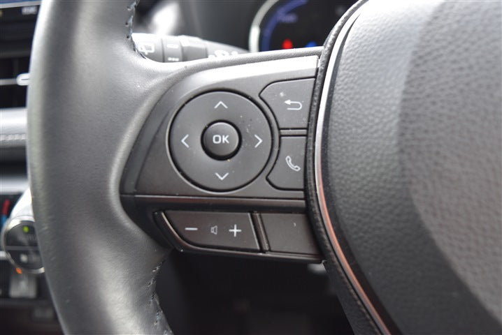TOYOTA RAV4 Hybrid G CH0000062299