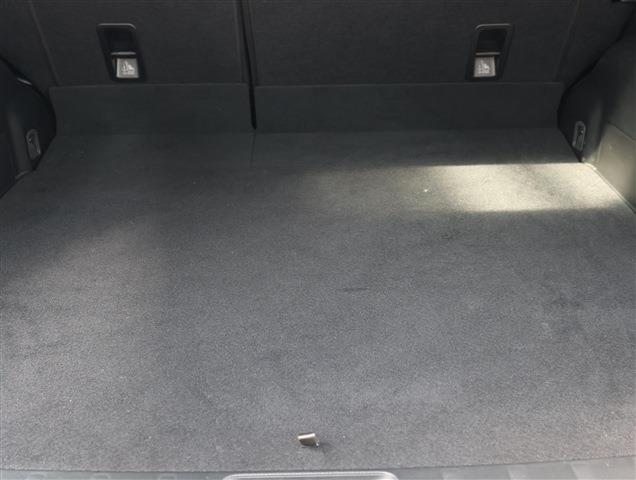 SUBARU FORESTER Sport CH0000060474